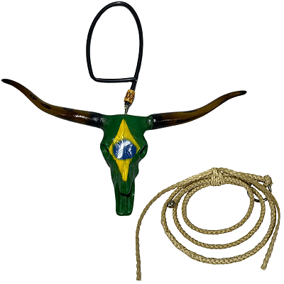 Enfeite De Retrovisor Long Horn Texas + Mini Laço